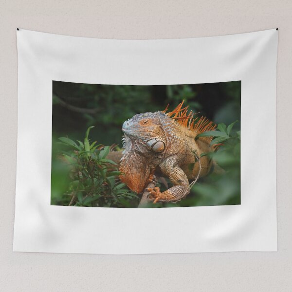 Item preview, Green Iguana designed and sold by James Cumming.