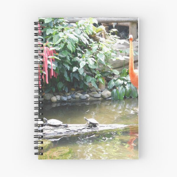 Item preview, Flamingo and turttles designed and sold by kestrada2906.