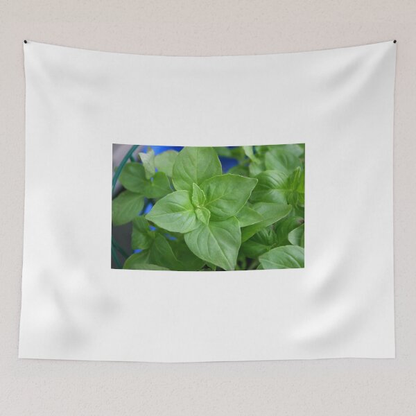 Item preview, Thaibasil designed and sold by SmoothBreeze7 | Liz Collet Photography.