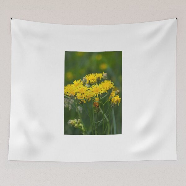 Item preview, Wiesenbocksbart, Tragopogon designed and sold by SmoothBreeze7 | Liz Collet Photography.