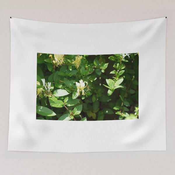 Item preview, Honeysuckle Visitor designed and sold by peterhau.