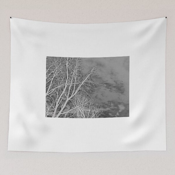 Item preview, Reverse or Negative Style of Tree and Sky with Crescent Moon Photograph designed and sold by adriturner.