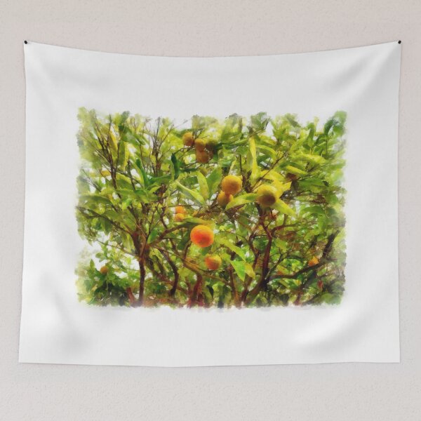 Item preview, Arzachena: oranges trees designed and sold by Giuseppe Cocco.