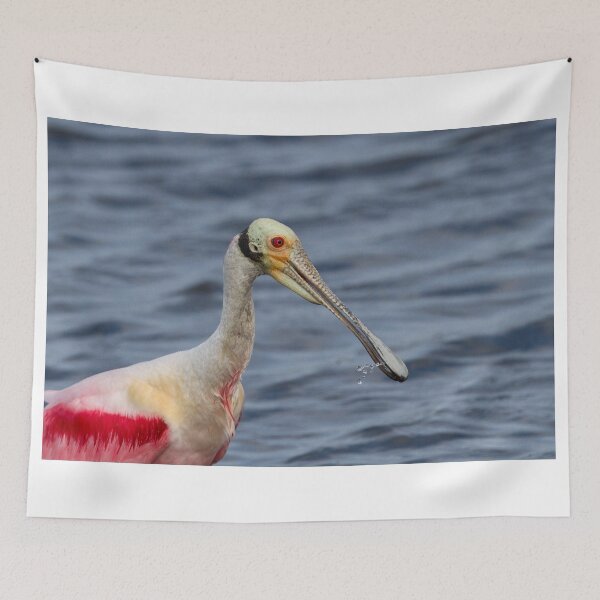 Item preview, Spoonbill Portrait designed and sold by WorldDesign.