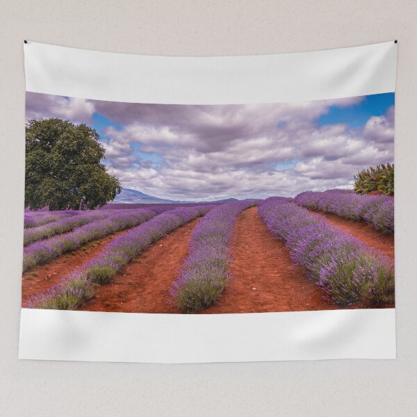Aperçu de l'œuvre Lavender créée et vendue par Mark Bilham.