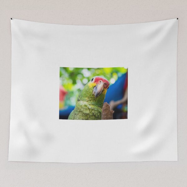 Item preview, 122014 parrot designed and sold by pcfyi.