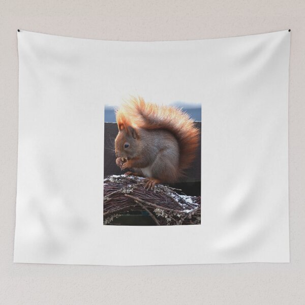 Item preview, A hungry squirrel designed and sold by imagic.