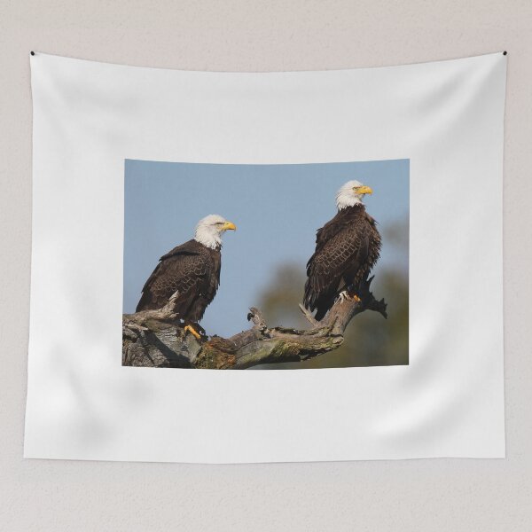 Item preview, A Bald Eagle Couple! designed and sold by Anthony Goldman.