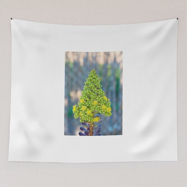 Item preview, Flor de Aeonium arboreum (III) designed and sold by Antonio Pizarro Mendez.