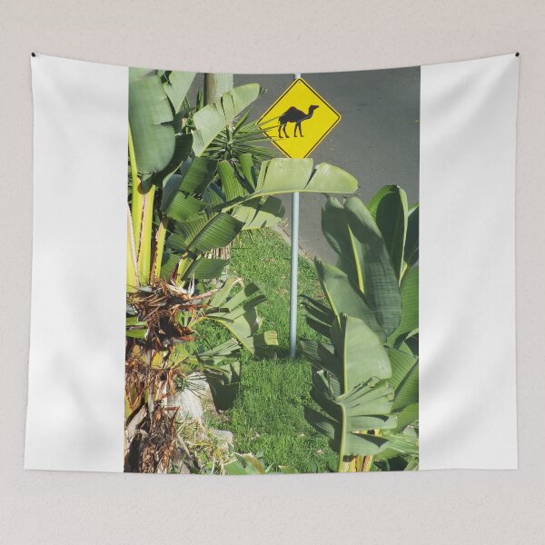 Item preview, The Esplanade, Pialba, Hervey Bay, Qld, Australia  designed and sold by sandysartstudio.