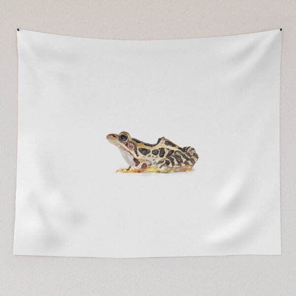 Item preview, Pickerel frog (Rana palustris) designed and sold by ianmwright86.