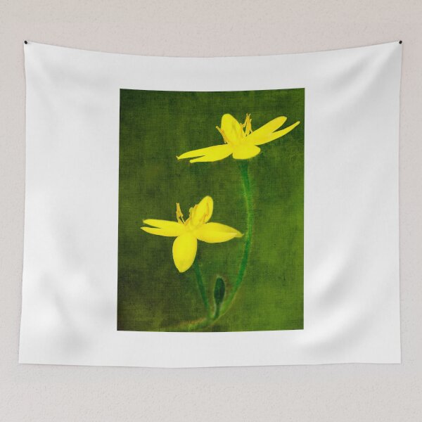 Item preview, Golden Weather Grass designed and sold by pcbermagui.