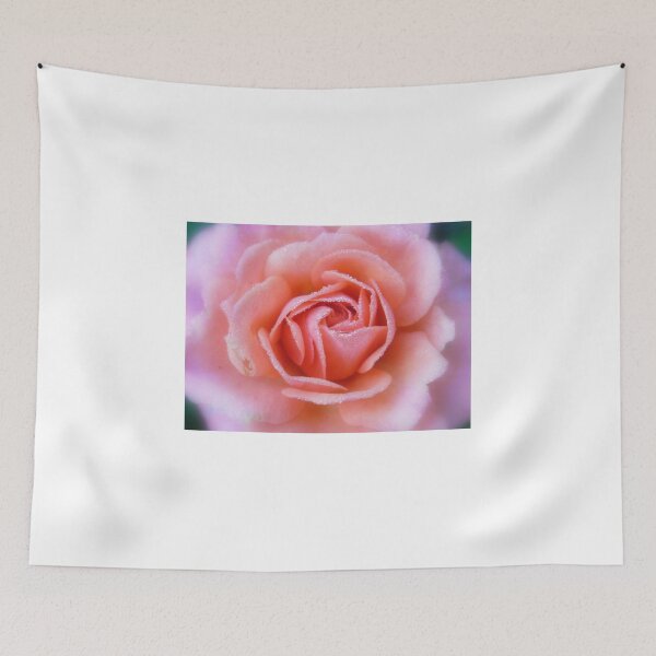 Item preview, new rose designed and sold by Floralynne.