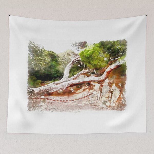 Item preview, Island Caprera: trees designed and sold by Giuseppe Cocco.