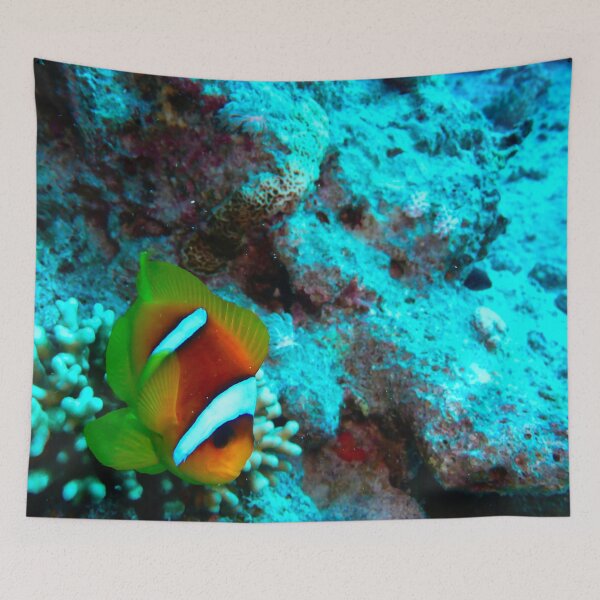 Item preview, Clown fish designed and sold by Rudolph29.