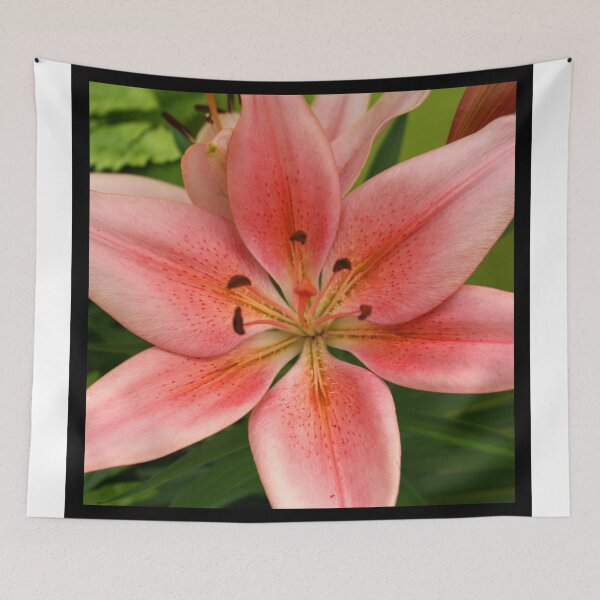 Item preview, Easter Lily  designed and sold by Cody  VanDyke.
