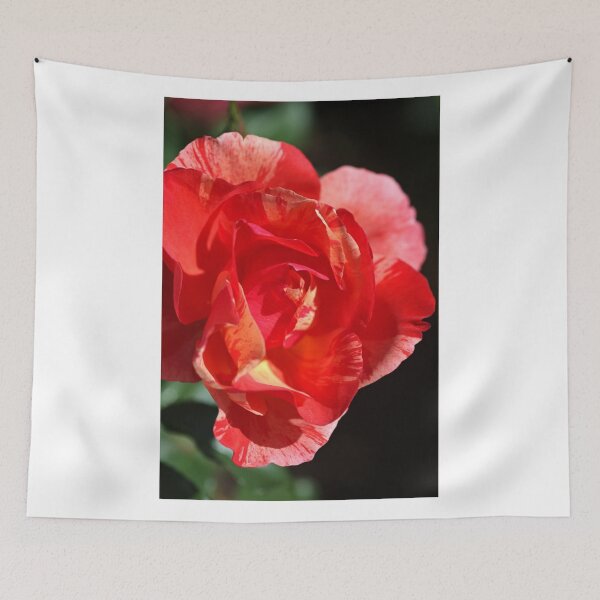 Item preview, Vibrant Rose designed and sold by Joy Watson - Natural Light Photography .