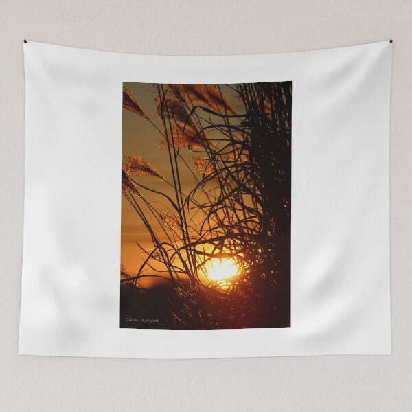 Item preview, Winter Sunset in the Ornamental Grass designed and sold by Gilda Axelrod.