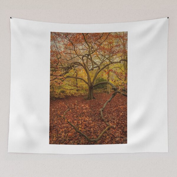 Item preview, Autumn Colours designed and sold by Stuart  Gennery.