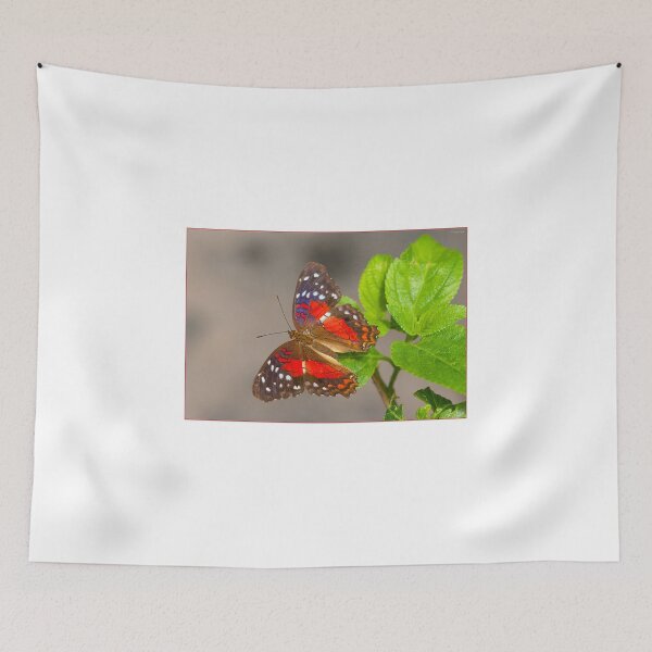 Item preview, Anartia amathea(II) designed and sold by Antonio Pizarro Mendez.
