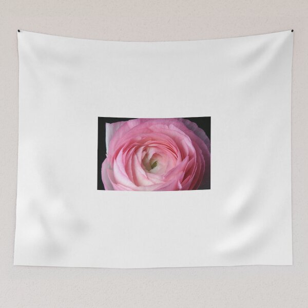 Item preview, Pink Ranunculus designed and sold by SmoothBreeze7 | Liz Collet Photography.