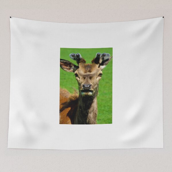 Item preview, Fearless Deer designed and sold by purelightimages.