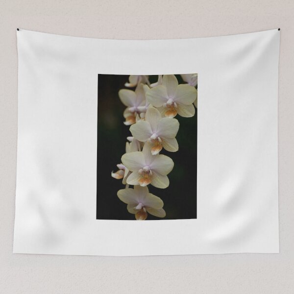 Item preview, Phalaenopsis - Gold designed and sold by Tracey  Dryka.