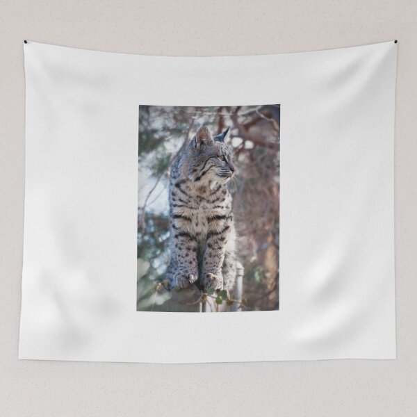 Item preview, Alert kitty designed and sold by Eivor Kuchta.