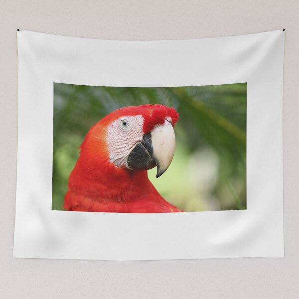 Item preview, Scarlet  Macaw designed and sold by James Cumming.