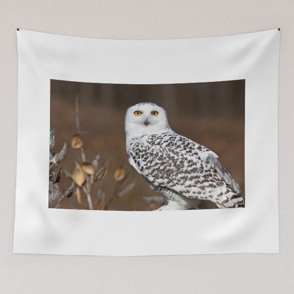 Item preview, Snowy Owl with Autumn Foliage designed and sold by Craig Sterken.