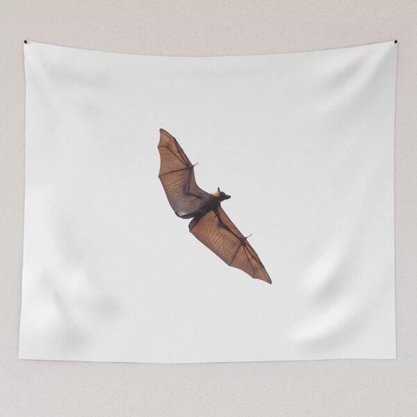 Item preview, Spectacled flying fox designed and sold by Jaykayl.