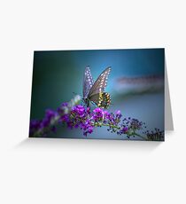 A butterfly's calling me . . . Greeting Card
