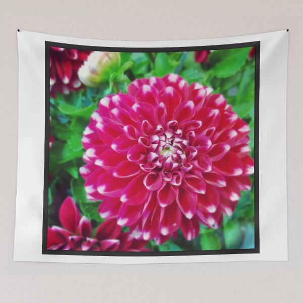 Item preview, Soft red petals of Dahlia designed and sold by Clintonis.