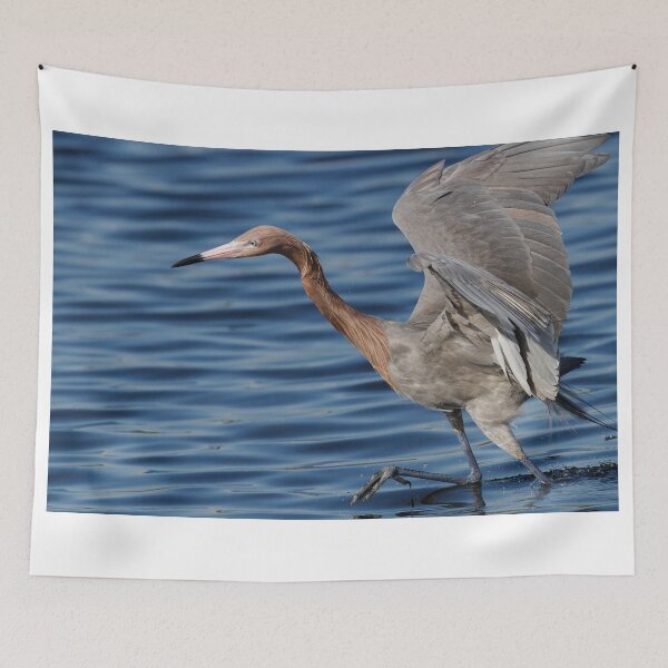 Item preview, Reddish Egret designed and sold by WorldDesign.