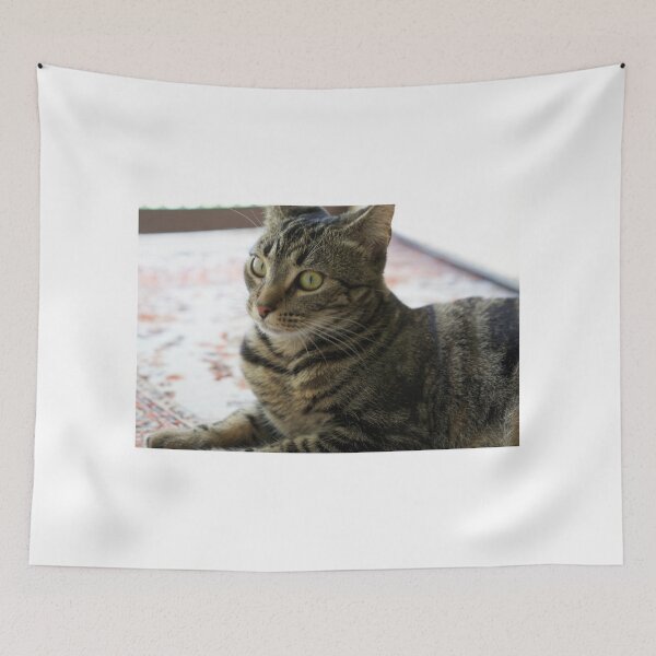 Item preview, The Surprised Kitten designed and sold by peterhau.