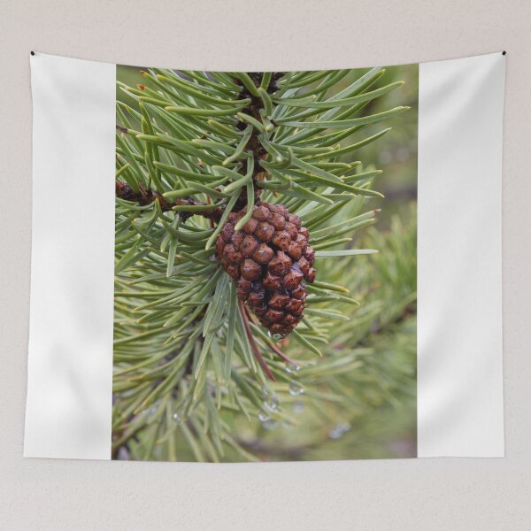 Item preview, Pine Cone designed and sold by WorldDesign.