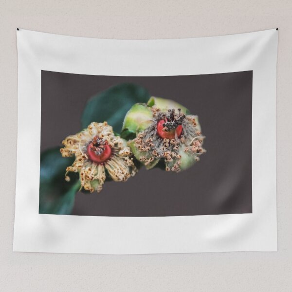 Item preview, NATURE'S WONDERS! designed and sold by heatherfriedman.