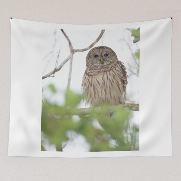 Item preview, A Barred visitor to my backyard designed and sold by jvoweaver.