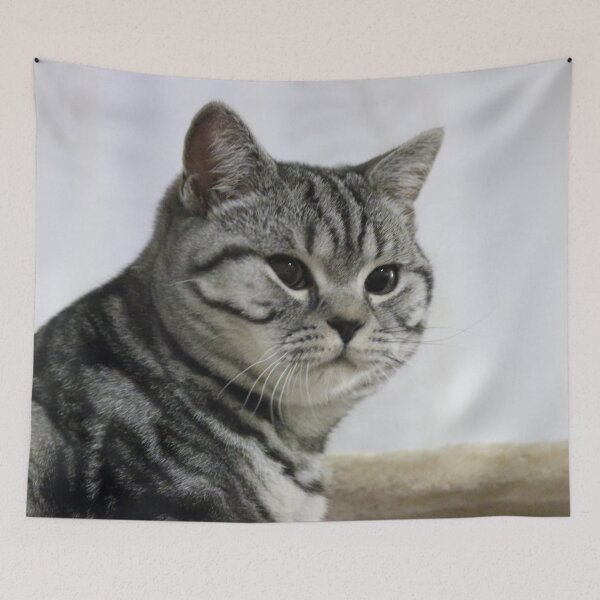 Item preview, Bruce designed and sold by Allenart_UK.