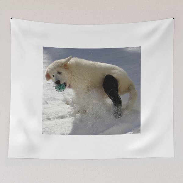 Item preview, Dealing with a Fractured Leg. designed and sold by vette.