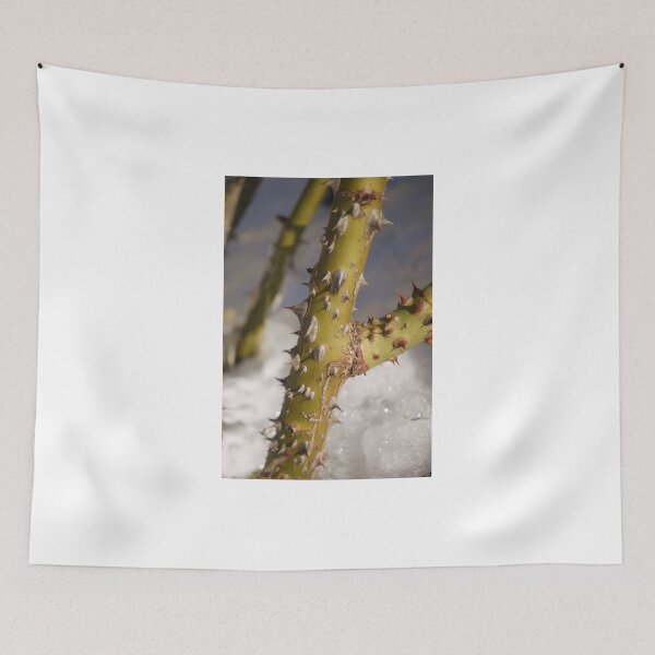 Item preview, Thorns designed and sold by webster7.