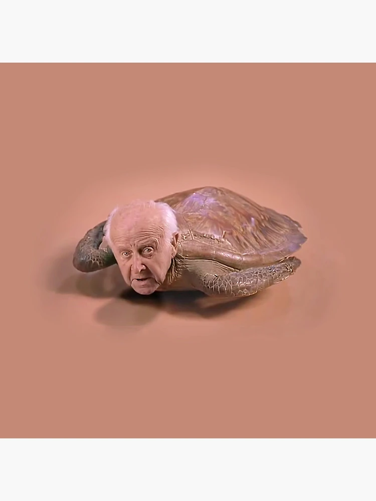 Turtle Old Man 