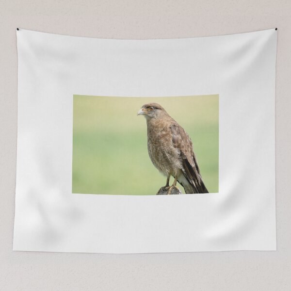 Item preview, 1315 hawk designed and sold by pcfyi.