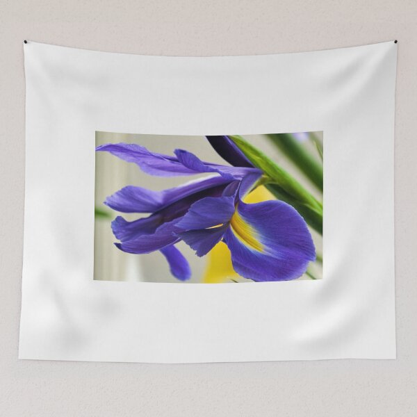 Artikelvorschau, Iris.......... entworfen und verkauft von lynn carter.