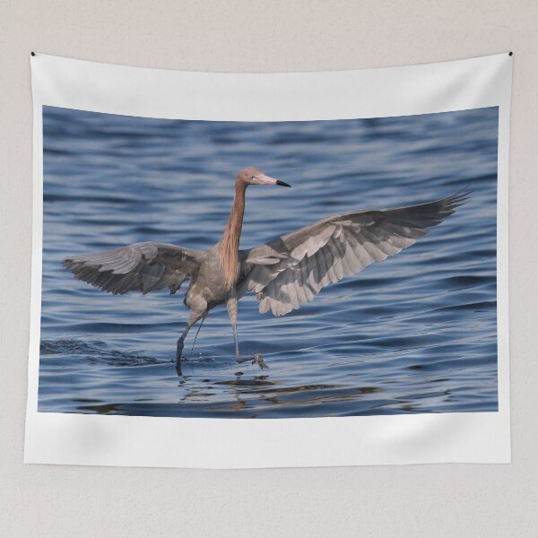 Item preview, Reddish Egret designed and sold by WorldDesign.