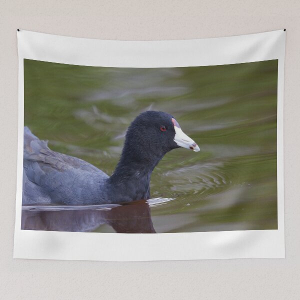 Item preview, Coot designed and sold by WorldDesign.
