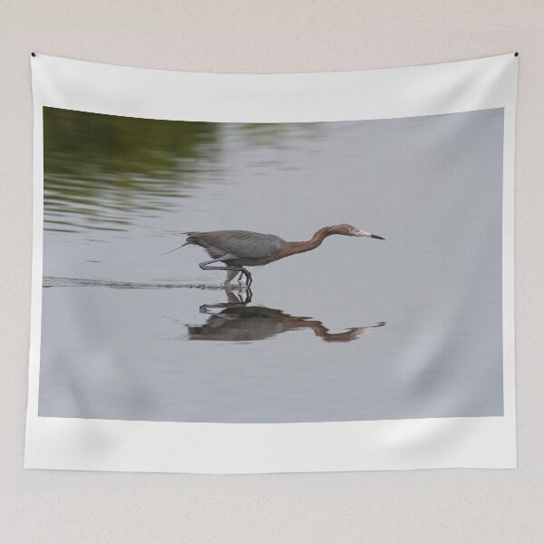 Item preview, Reddish Egret designed and sold by WorldDesign.