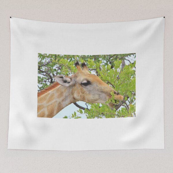 Item preview, Giraffe - African Wildlife - Pleasure of Food designed and sold by LivingWild.