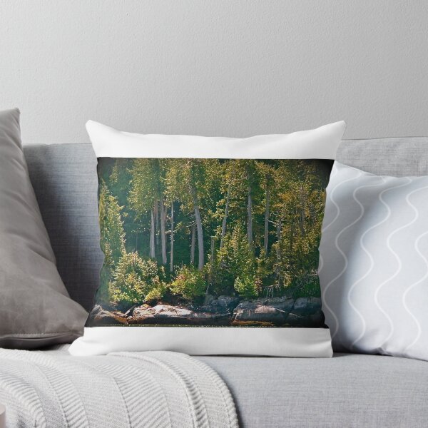 Item preview, Lagoon Cove designed and sold by Brent Sisson.