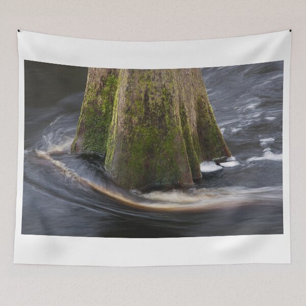Item preview, Cypress Tree designed and sold by WorldDesign.